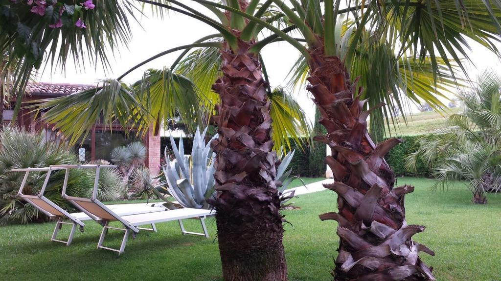 B&B "Corte San Tomaso" Legnago Kültér fotó